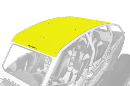 Asylum Aluminum Roof Lime Squeeze