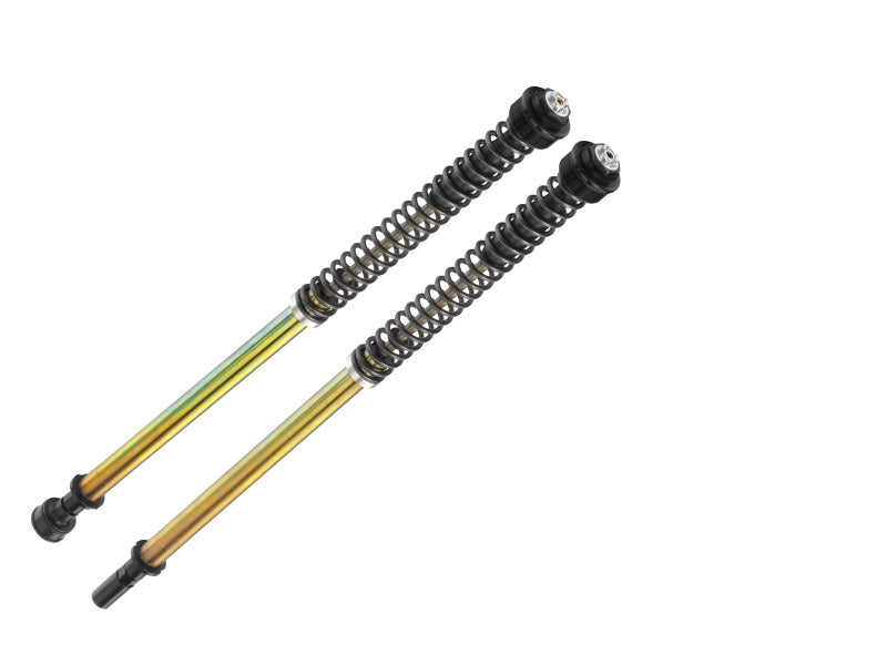 Bitubo Suspension Bitubo JBHV1 Pressurized Cartridge Adj.: Spring Preload, Rebound, Comp., w/o Oil, Red Ring S0086JBH01V1WO