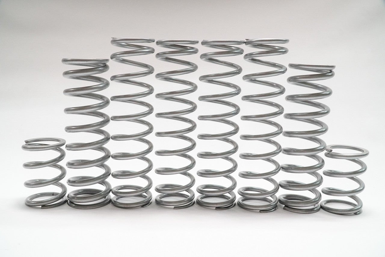 Shock Therapy Dual Rate Spring Kit (DRS) for Polaris RZR Turbo R
