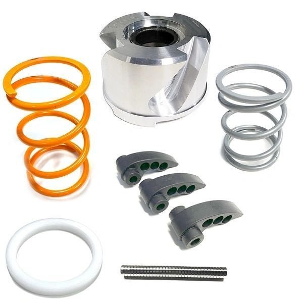 AA Stage 3 Clutch Kit for RZR Pro R