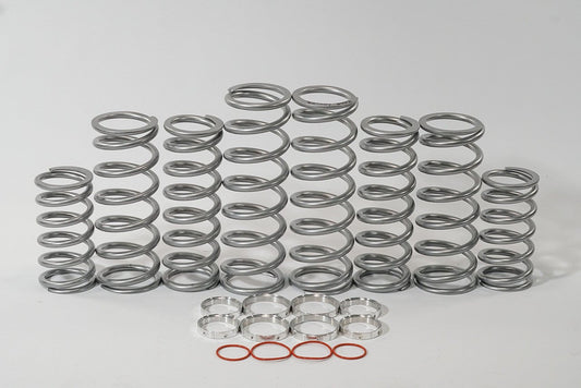 Shock Therapy Ride Improvement System "RIS" for RZR Pro XP