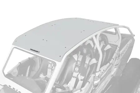 Asylum Aluminum Roof  XP4 1000Titanium Matte Metallic